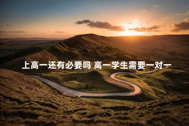 上高一还有必要吗 高一学生需要一对一辅导吗